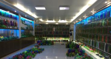 Verified China supplier - Guangzhou Qinjiayuan Aquarium Pet Products Co., Ltd.