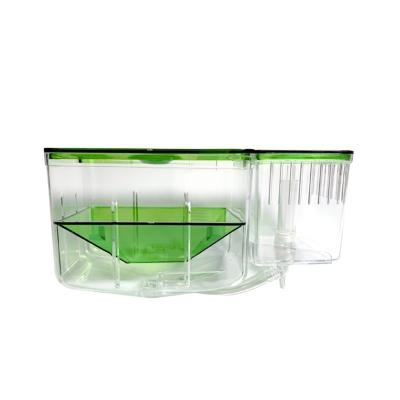 China Viable plastic aquarium fish hatchery/nursery/aquarium filter dual function aquarium for sale