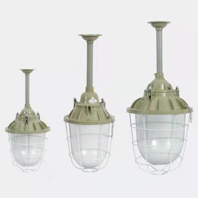 China 200w Explosion-proof LED Bulb for Indoor/Outdoor in Chemical Plants Lighting Fixture for sale