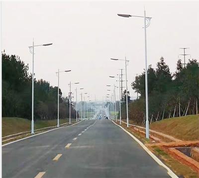 China solar street lamp pole 3-12 meters single/double arm for outdoor lighting solutions for sale