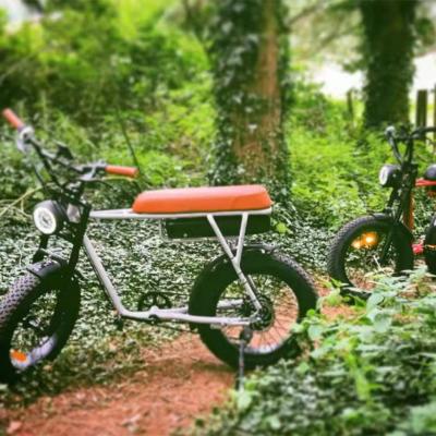 China Hot electric bicycle 48V500W700W personality steel sellers Britain France Germany and Italy electric bicycle for sale