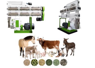 China High Performance Animal Feed Production Plant Cattle Food Processing Machine for sale