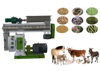 China High Efficiency Animal Feed Production Plant High Strength Precision Gear Drive for sale