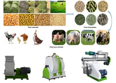 China Chicken Animal Feed Production Line Animal Feed Manufacturing Machines for sale