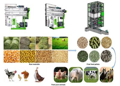 China Chicken Sheep Fish Food Pellet Making Machine Animal Feed Manufacturing Plant for sale