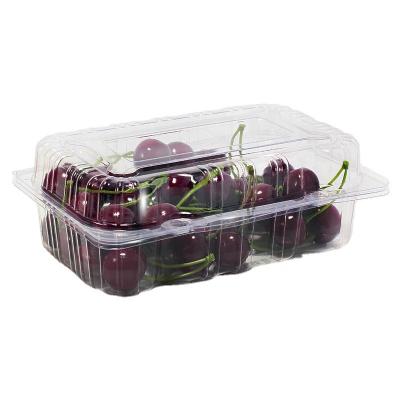 China Recyclable/Disposable Clear Plastic Clamshell Recyclable/Disposable Kiwi Fruit Plastic Pet Supermarket Fruit Packaging Box for sale