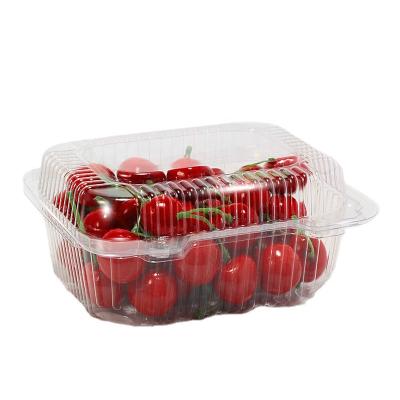 China Wholesale Recyclable/Disposable Disposable Vegetables and Gift Custom Strawberry Fruit Pet Food Plastic Box for sale