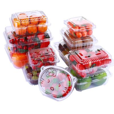 China Wholesale Recyclable / Disposable Clamshell Packaging Fruit Box Supermarket Disposable Grape Cherry Tomato Packaging Box for sale