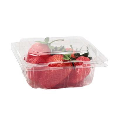 China Customized Recyclable/Disposable Blister Fresh Plastic Fresh Cherry Tomatoes Packaging Transparent Cherry Packing Boxes for sale