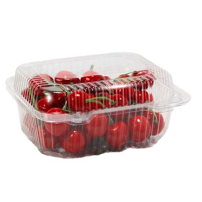 China Factory Wholesale Recyclable/Disposable Strawberry Cherry Plastic Box Custom Fruit Vegetable Packaging Box For Orchard for sale