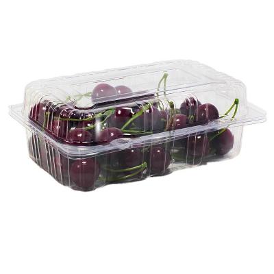 China Clear Blister Pack PET Fruit And Vegetable Clamshell Recyclable / Disposable Plastic Clamshell Box for sale