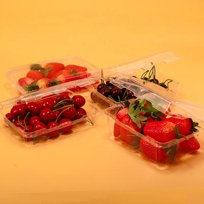 China Customized Disposable Plastic Recyclable/Disposable Fresh Fruit Box With Clear Lid Square Food Box for sale