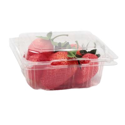 China Recyclable / Disposable Blueberries Plastic Clamshell Box Vegetable Clamshell Box Disposable Packaging Fruit Packaging Box for sale