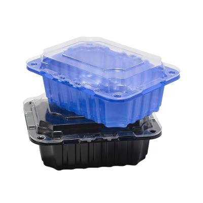 China Custom Recyclable/Disposable Food Grade Disposable Blister Size Clear Plastic Fruit Packaging Box For Blueberry And Strawberry for sale