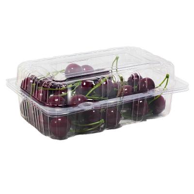 China Recyclable / Disposable Disposable Plastic Fruit And Vegetable Box With Cover Food Grade Blister Transparent Packaging Box for sale