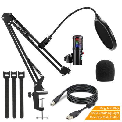 China Professional RGB USB 192Khz/24Bit MIC Microphone Gaming Studio Cable Condenser For PC Computer Youtube With Noise Filter Boom Arm Stand for sale