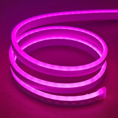 Chine Lampes au néon au néon roses IP65 de la couverture LED Flex Strip Silica Gel Cuttable à vendre