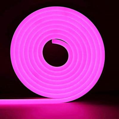 China 8mm 12v Flexible Led Neon Tube Light Hoses Ip67 Decoration for sale