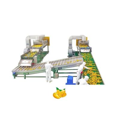 China Automatische Mango-Produktlinie Juice Machine Industrial Commercial zu verkaufen