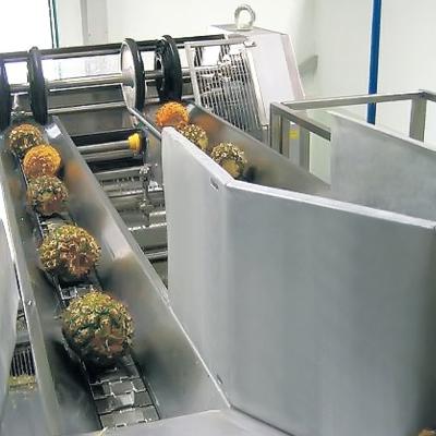 China 380V 50Hz Pineapple Processing Line For Concentrated Juice for sale