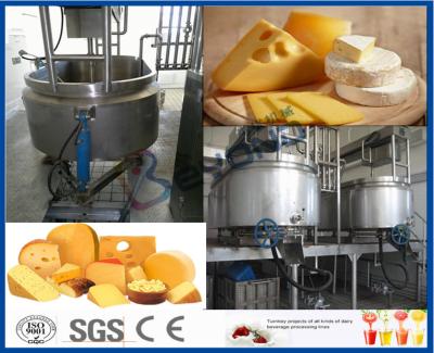 Cina 200 - attrezzatura di fabbricazione del formaggio di progetto chiave di giro 50000LPD con il pacchetto di plastica della bottiglia in vendita