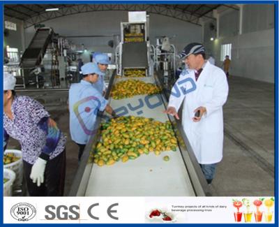 China Schließen Sie Drehungsschlüsselprojekt Mango-Fruchtsaft-Produktlinie hohe Engery-Einsparung ab zu verkaufen