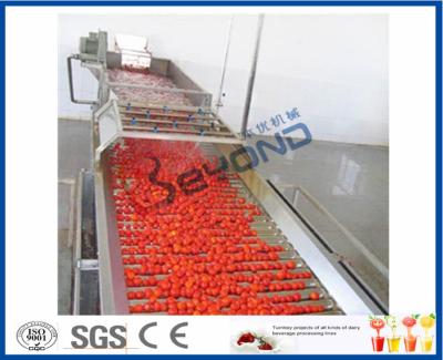 China Fruit Processing Tomato Juicer Machine , Electric Tomato Juicer Process Plant And Machinery for sale