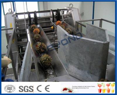 China High Efficient Pineapple Processing Line With Pineapple Cutting Machine for sale