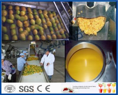 China Mango-Masse, die Maschinerie-Mango-Produktlinie mit aseptischer Paket-Maschine verarbeitet zu verkaufen