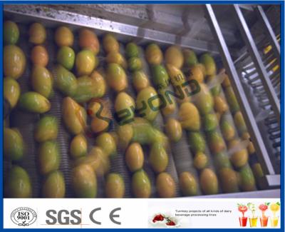 China Van het de Fabrieksfruit van het mangosap de Installatie van de de Pulpverwerking, het Materiaal van de Mangoverwerking Te koop