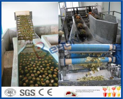 China Pineapple Processing Juice Factory Machinery With Fruit Juice Packaging Machine for sale