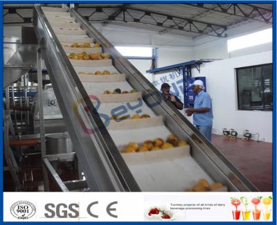 China 2TPH | 20TPH-macht SUS304 Mango-Produktlinie mit 2kg Füllmaschine ein zu verkaufen