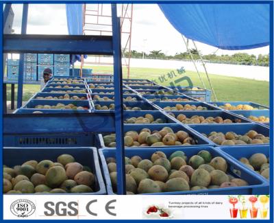 China Frische Ananas-/Mango-Saftverarbeitungs-Anlage mit Dosen-Verpackmaschine zu verkaufen