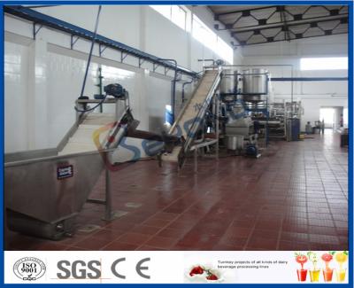 China 5 - 50 T/H de Installatie van de Mangoverwerking met de Machine van de Mangopulp ISO9001/Ce/SGS Te koop