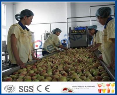 China Cadena de producción del zumo de fruta del melocotón/del albaricoque/del ciruelo maquinaria del proceso de fruta en venta