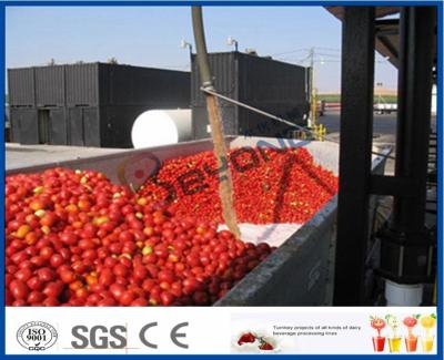 Chine Sauce tomate faisant la chaîne de production de sauce tomate de machine avec système chaud/froid de coupure à vendre