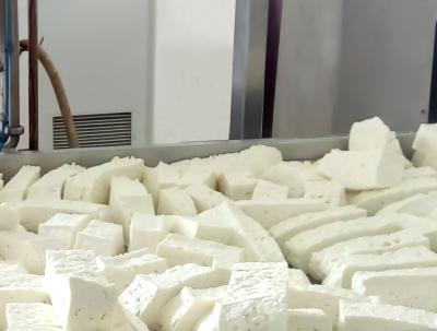 Cina Attrezzatura pastorizzata di fabbricazione del formaggio della latteria di US316 500L in vendita