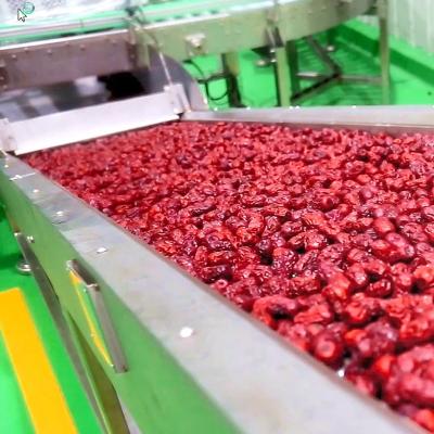 China Chinesische Dattel-Fruchtsaft-Produktlinie, Massen-Verarbeitungsanlage der Frucht-ISO9001 zu verkaufen