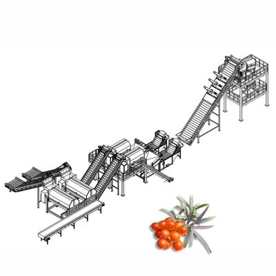 China Espino cerval de mar 20TPD que procesa la fruta Juice Production Line en venta