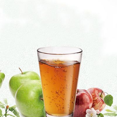 China Industrial Apple Processing Line Fruit Juice Making Machine 1000ml for sale