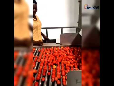 Tomato Paste Processing Line/Tomato paste turnkey project