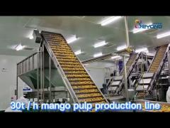 Mango Processing Equipment Mango Juice Processing Plant , Mango Juice Extractor Machine