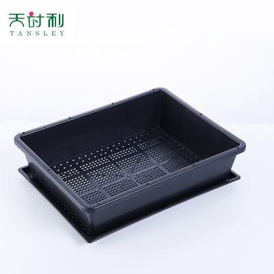 China Factory Price Eco - Friendly Plastic Seedling Mesh Drainage Starter Trays With Lids for sale