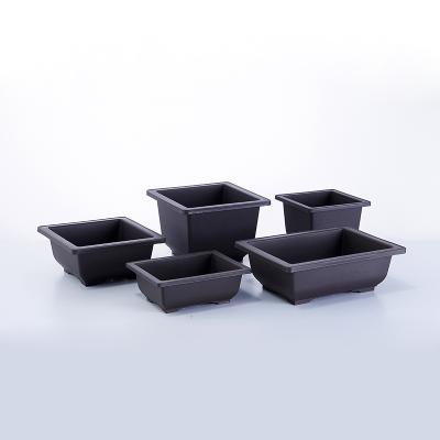 China Factory Price Rectangle Hexagon Mocha Flower Durable Plastic Succulent Bonsai Pots Factory Price Training Planters for sale