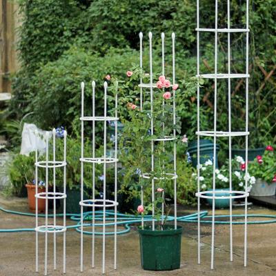 China Heavy Duty European Metal Modern Garden Plant Ring For Climbing Plants Support for sale