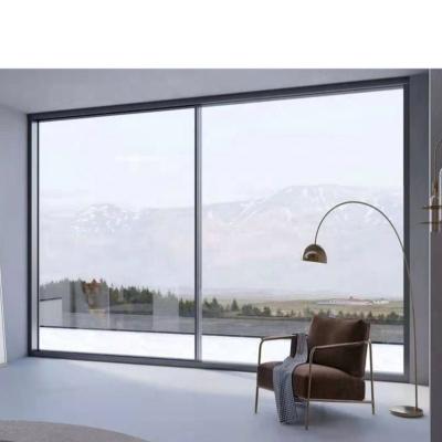 China Thermal Insulation DS Modern Design Narrow Frame Sliding Door Bifolding Doors for sale