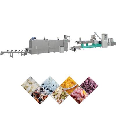 China High Efficiency Jinan 100kg/h 200kg/h Enriched Artificial Rice Machinery Rice Processing Line en venta