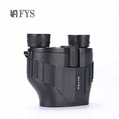 China Easy To Use Long Range Bird Watching Binoculars Outdoor Portable Sightseeing Binoculars for sale