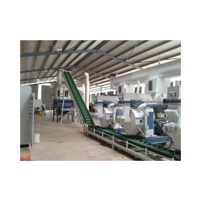 China Professional Wood Pellet Plant Quality Assurance Line Pellet Production for sale