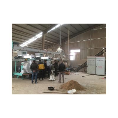 China Advanced Factory Price Wood Pellet Mill Machinery Wood Pellet Mill Wood Making for sale